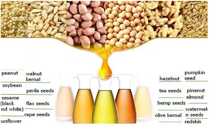 Oil Press Soyabean Sunflower Coconut Oil Pressers Copra Palm Kernel Flaxseed Oil Extraction
